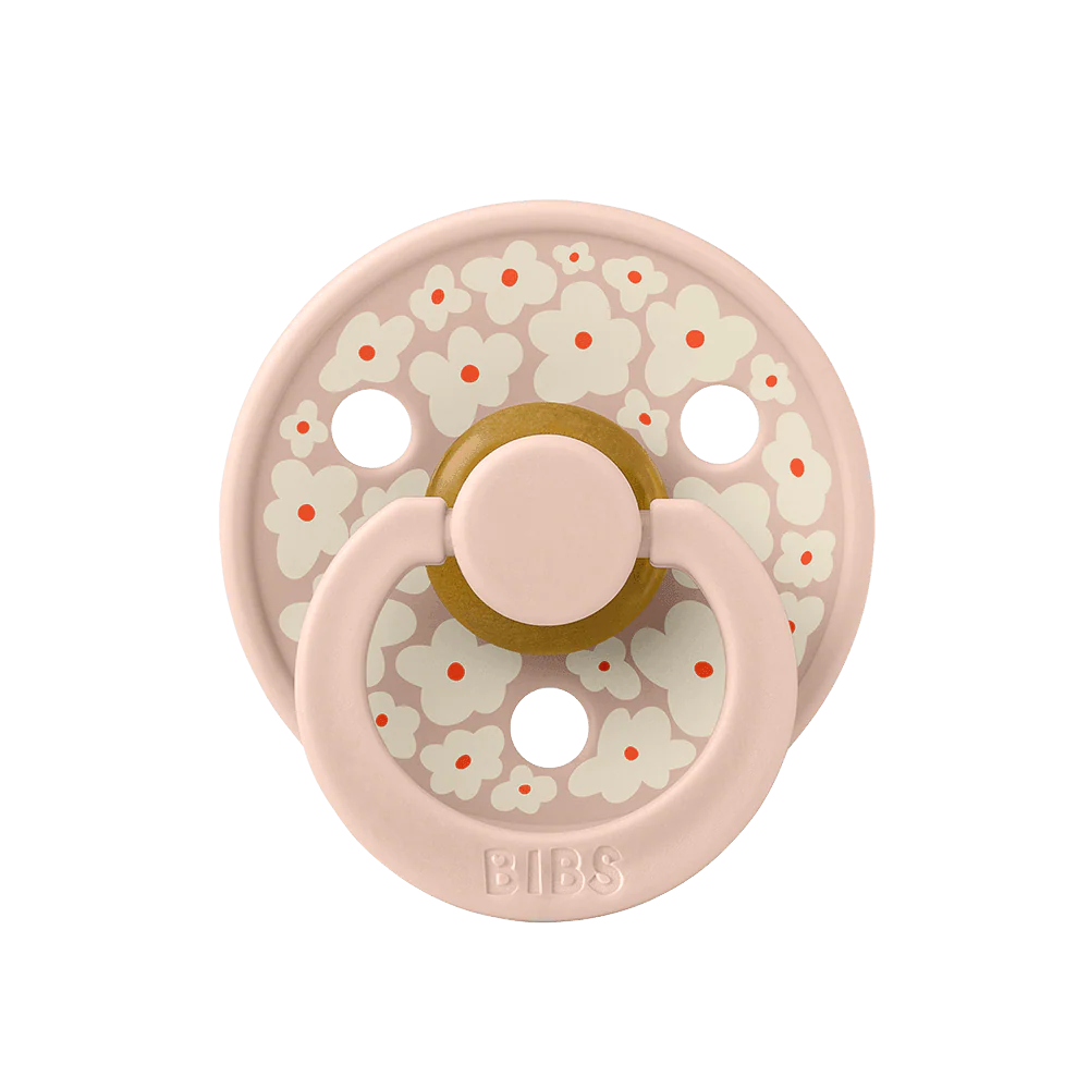 BIBS Pacifier Studio Collection