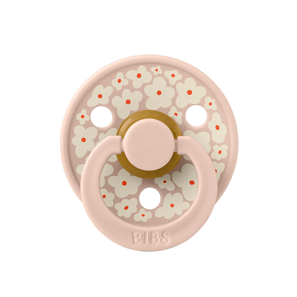 BIBS Pacifier Studio Collection