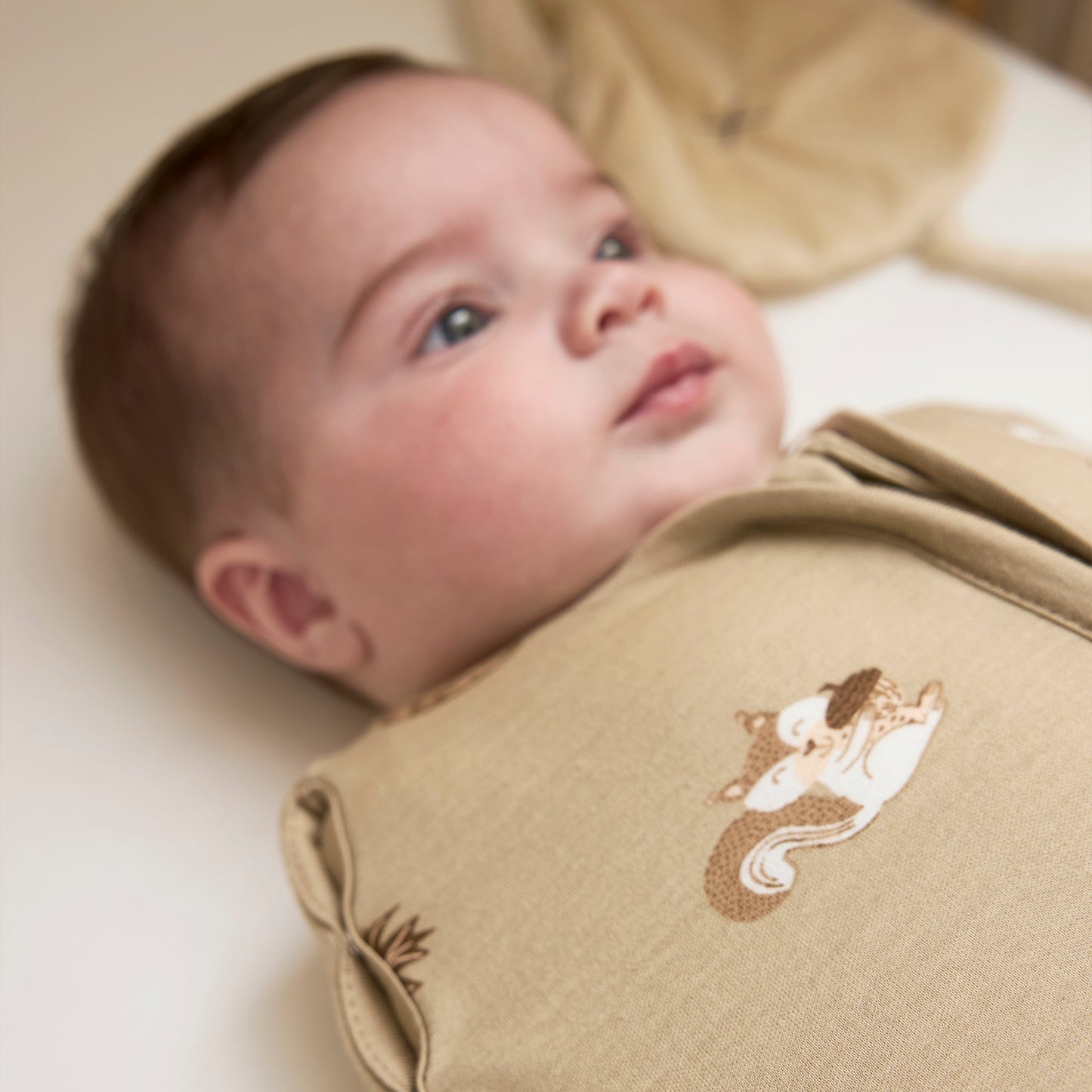 Cocoon Sleeping Bag