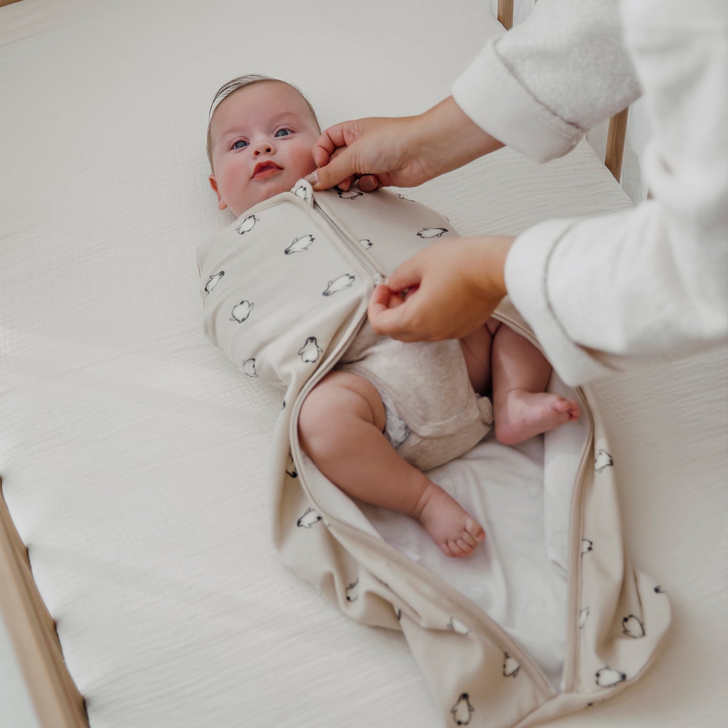 Cocoon Sleeping Bag