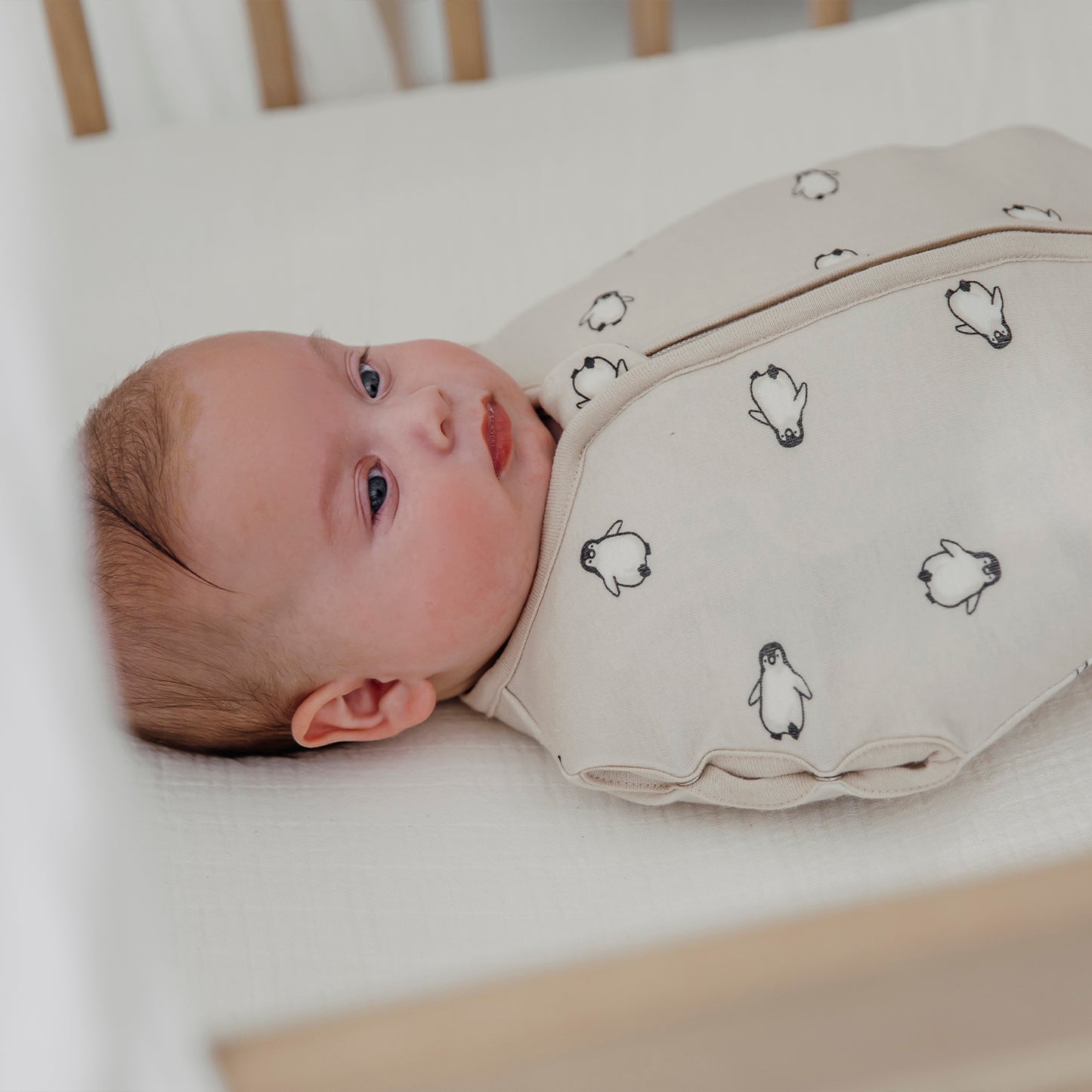 Cocoon Sleeping Bag