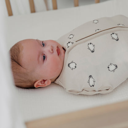 Cocoon Sleeping Bag