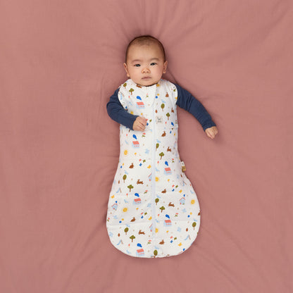 ergoPouch Cocoon Swaddle Bag 2.5 TOG