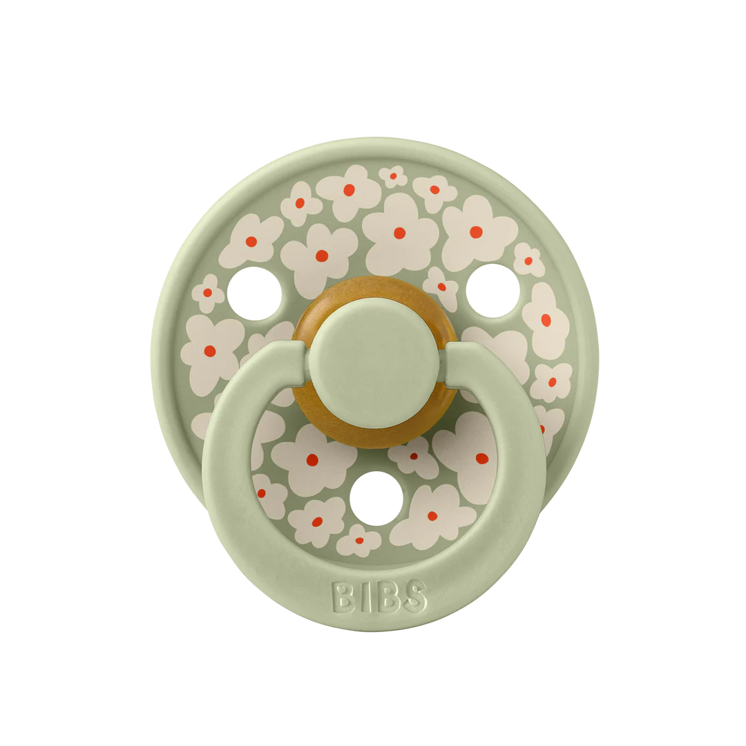 BIBS Pacifier Studio Collection