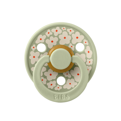 BIBS Pacifier Studio Collection